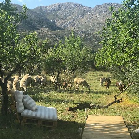 Casa La Plana Villa Orba Eksteriør bilde